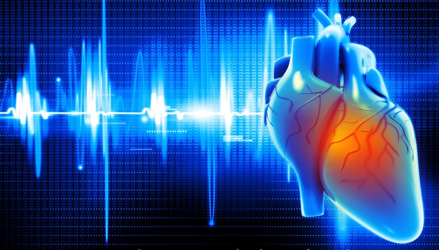 Digital illustration of Human heart
